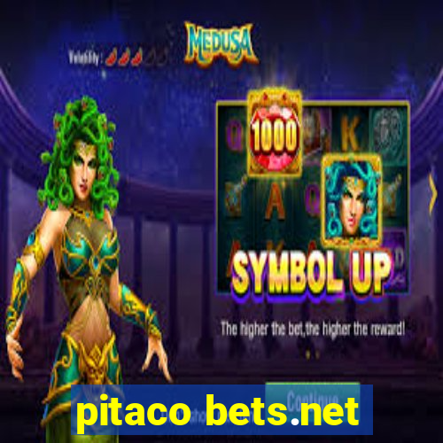 pitaco bets.net